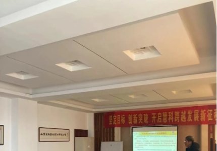 公司聘请金蓝盟项目组进行咨询和培训